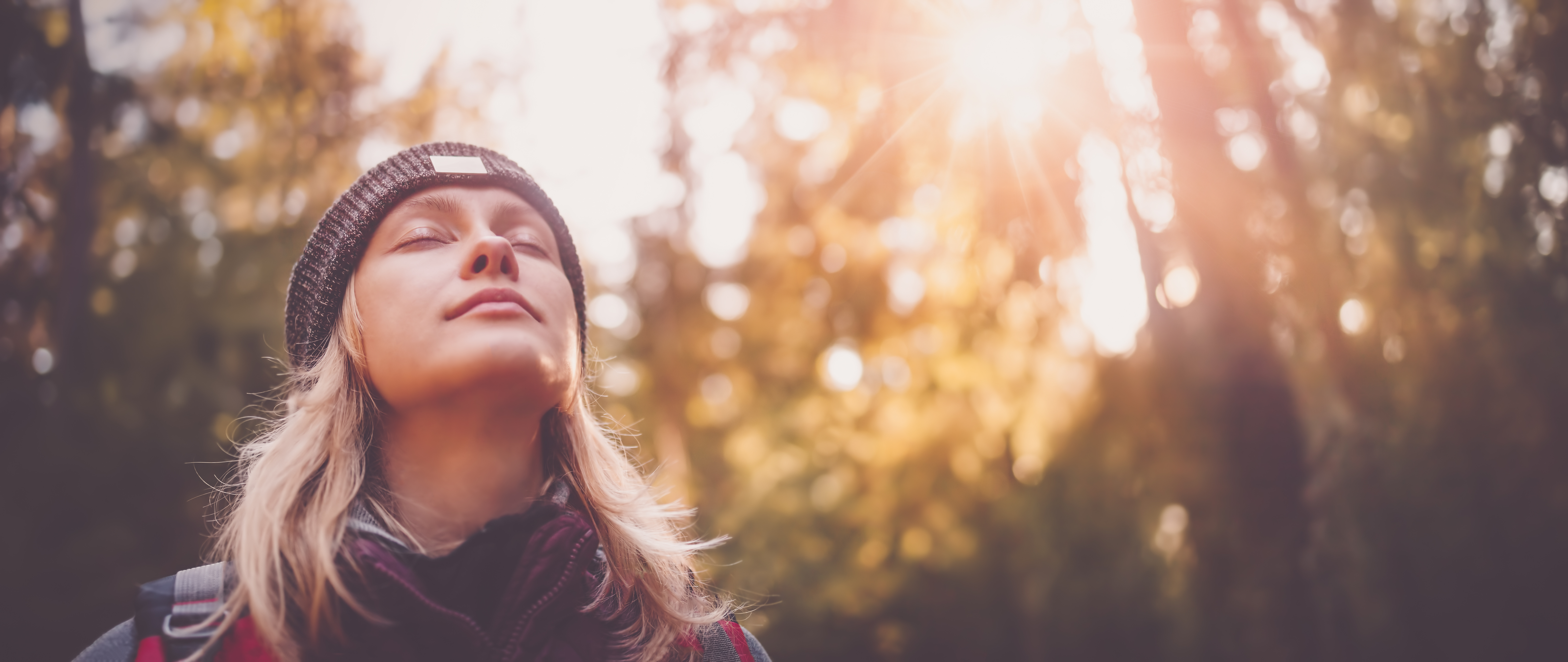 AdobeStock_368590915