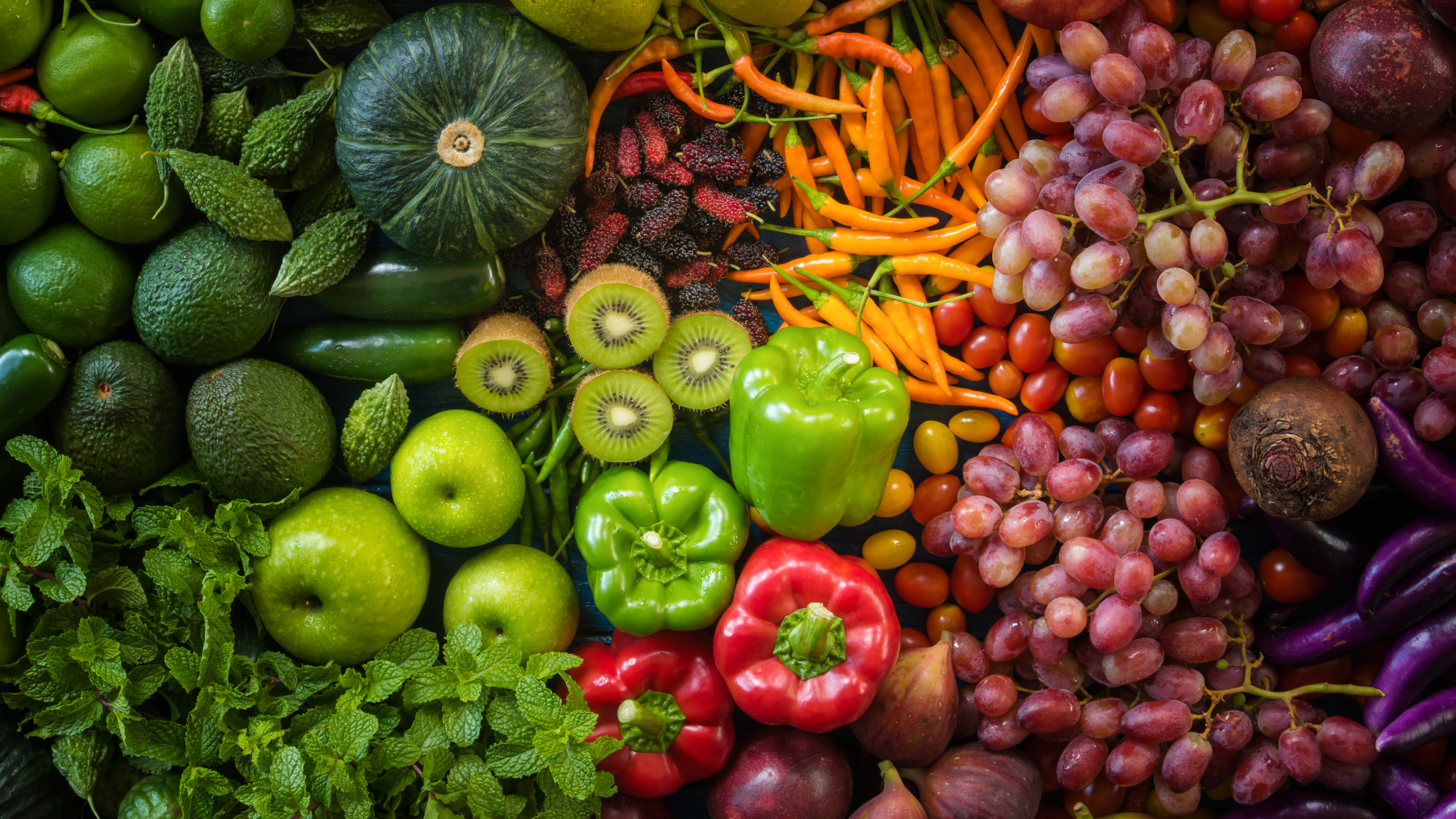 YOUR BEST VEGAN LIFE